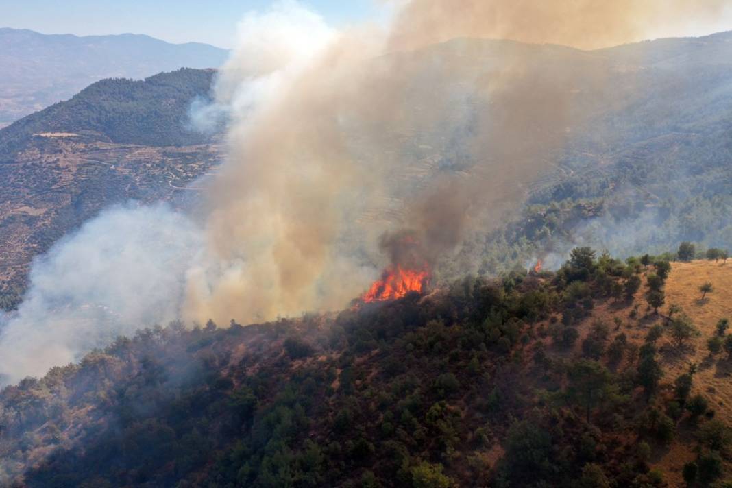 Aydın'daki orman yangınından son görüntüler 12